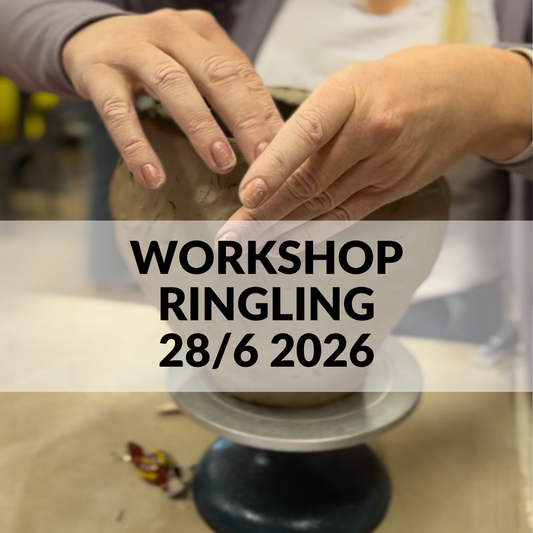 Workshop 28/6 2026 kl. 12-15